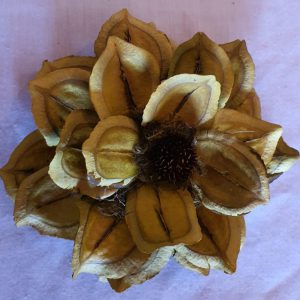 Flor Decor Estrela Amarela