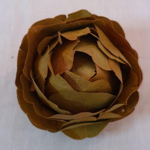 Rosa Verde Gd