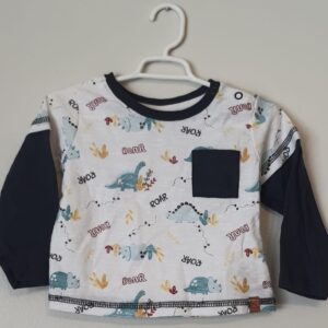 Camiseta Dinossauros Ml 6 A 9 M
