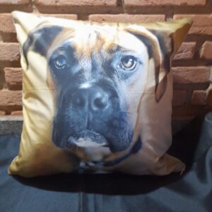 Almofada Cachorro Fila