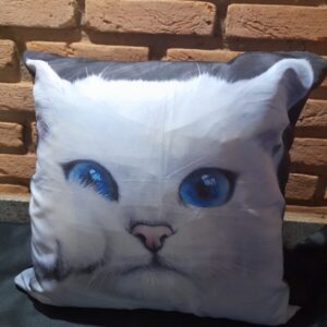 Almofada Gato Bc