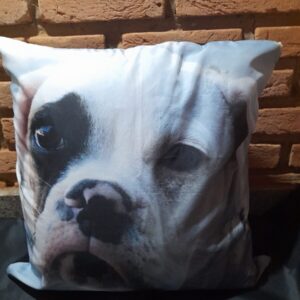 Almofada Cahorro Branco