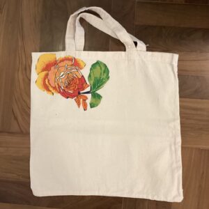 Sacola Ecológica Tp 19